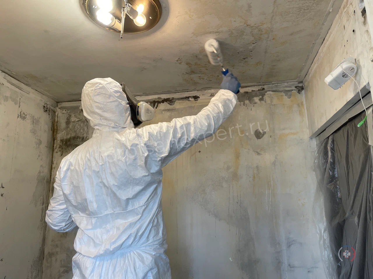 Галерея